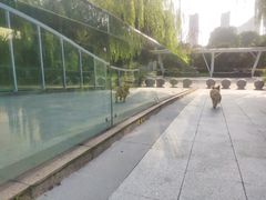 -九里河湿地公园