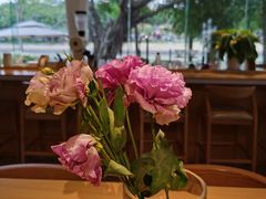 -默迹咖啡馆