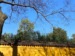 -西园戒幢律寺
