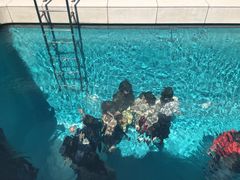 -金泽21世纪美术馆