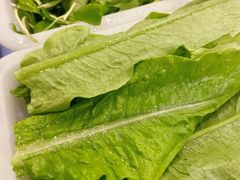 -正能量脆肉鲩火锅