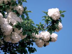 -南山风景名胜区