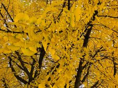 -金堂县云顶石城风景区