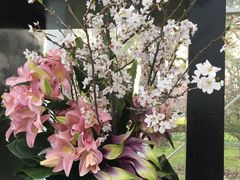 -上海鲜花港