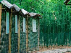 -同里国家湿地公园