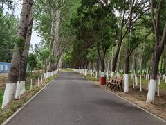 -东郊湿地公园