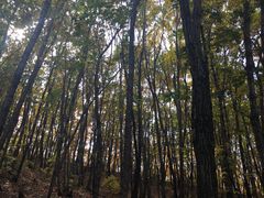 -六鼎山文化旅游区