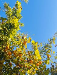 -北京郡王府饭店·宴会厅