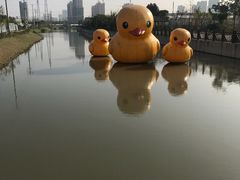 -菊园百果园
