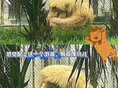 -广州动物园