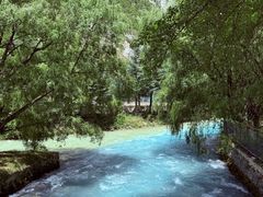 -九寨沟-树正沟