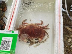 -登州市场(登州路店)