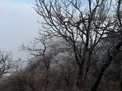 -武当山风景区