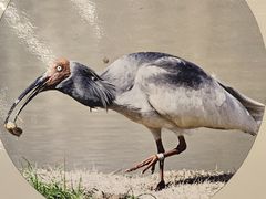 -下渚湖国家湿地公园科普馆
