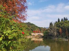 -云溪植物园