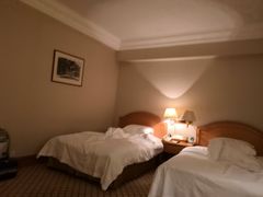 -南京维景国际大酒店(南京博物院店)