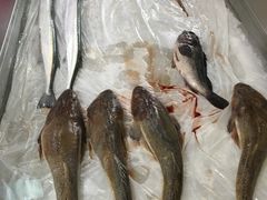 -渔码头食府·20年蓬莱老字号(登州路店)