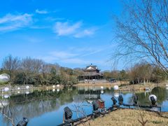 -西溪国家湿地公园