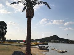 -上海月湖雕塑公园