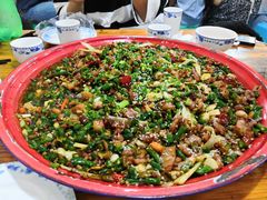 -东吴霸王兔(松青路店)