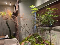 -森SPA·泰式按摩·精油Massage(宝安中心店)