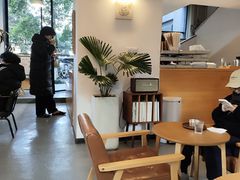 -猫里有甜
