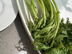 -海底捞火锅(金地广场生日主题店)