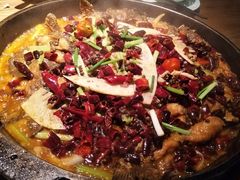 -老板恋上鱼(印象城店)