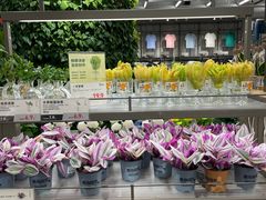 -鹿岛生活(熙地港店)