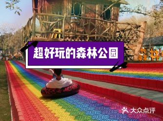 这么好玩的森林公园一定要来哦