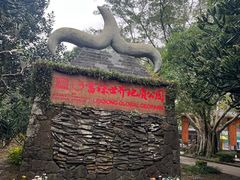 -海口火山口国家地质公园