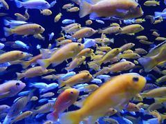 -成都浩海立方海洋公园