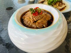 椒麻捞鲜猪腰-博多新记·粤菜(复兴店)