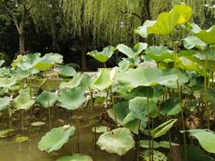 -陈化成纪念馆