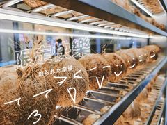 -蔻蔻椰·鲜萃椰子水(COCO Park店)