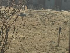 -太原动物园
