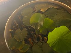 -竹里馆 ·茶食(奥体店)