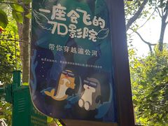 -西双版纳原始森林公园