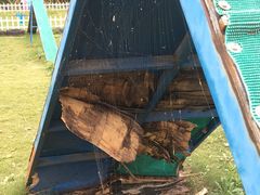 -上海崇明金茂凯悦酒店