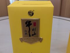 -紫藤园·天目湖大鱼头(南山竹海店)