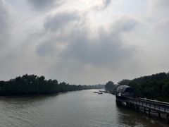 -东寨港红树林旅游区