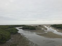 -北海金海湾红树林生态旅游区