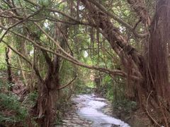-燕晗山郊野公园