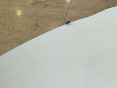 -渔民新村(番禺总店)