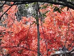 -石燕湖生态旅游景区