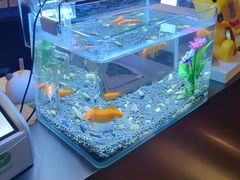 -华夏良子·足道SPA艾灸(王府井店)