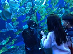 -波塞冬旅游度假区