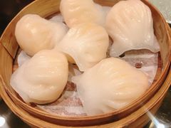 -高第街56号餐厅(银座商城玉函店)