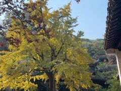 -无锡惠山寺