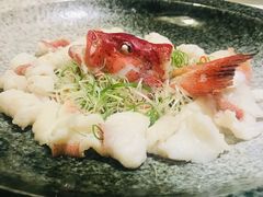-西郊5号·Maggie 5